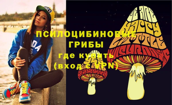 прущий лед Алексеевка