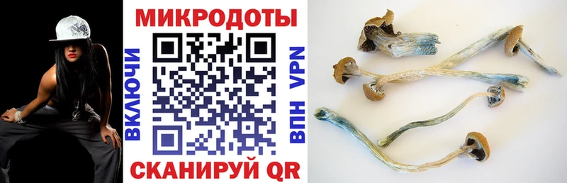 наркотики  Бронницы  Галлюциногенные грибы мухоморы 